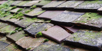 Dingestow roof repair costs